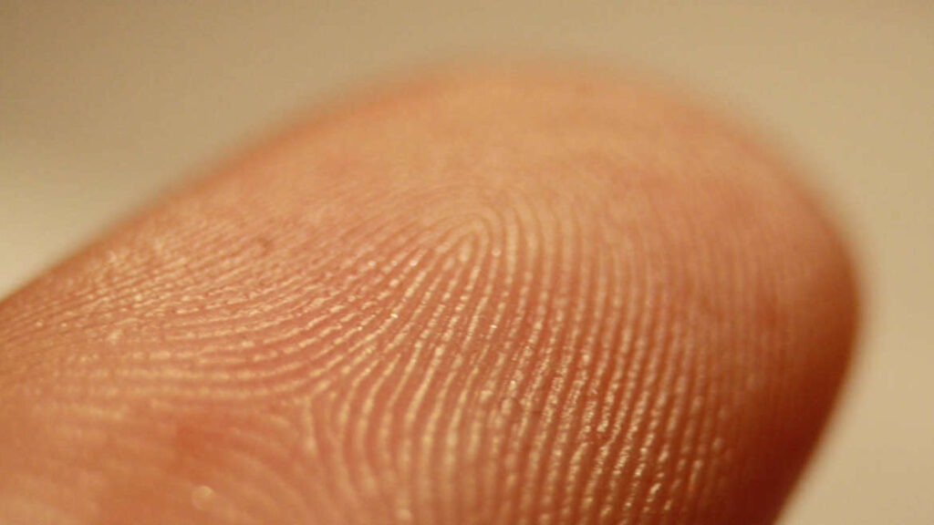 fingerprint up close