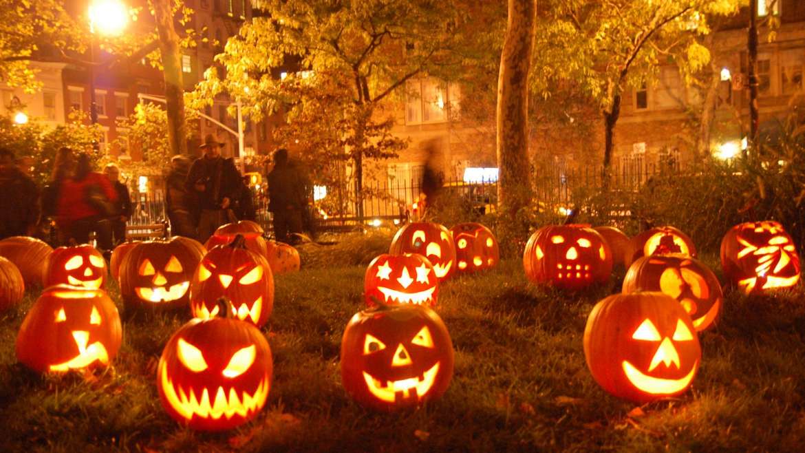 jack o lanterns in yard